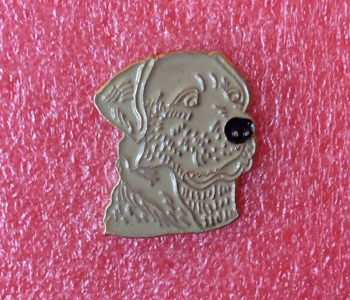 T01 pins chien dog - pins,
