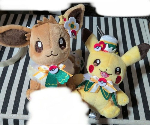 Peluche pokepark kanto pokemon - peluche,