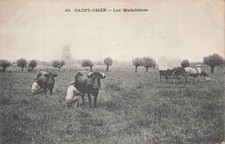 62 SAINT-OMER MADELEINES -