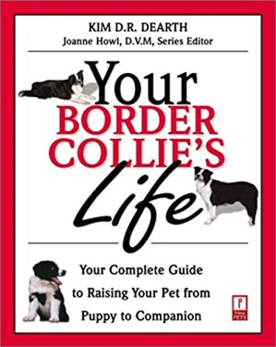 Votre border collie life - votre,