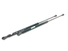 VERIN HAYON LIGIER AMBRA