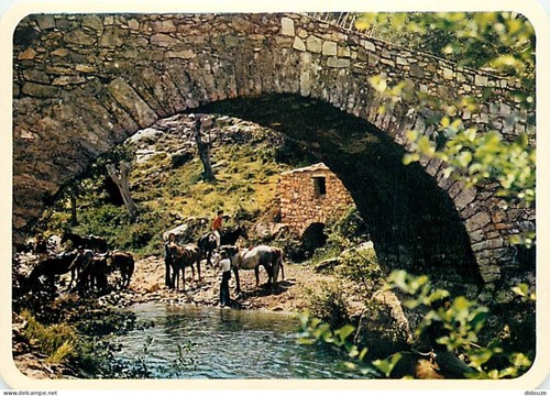 Carte postale corse - carte,
