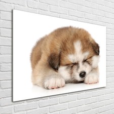 Tulup image sur verre - sur, trempé