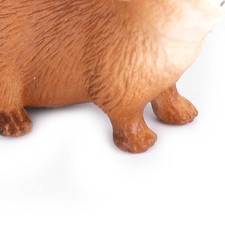 Modèle De Cochon D'Inde Pour