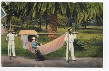 PORTUGAL MADEIRE Madeira rede hamac femme porteur chien parc palmier