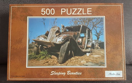 Master line ptz puzzle - line, 500