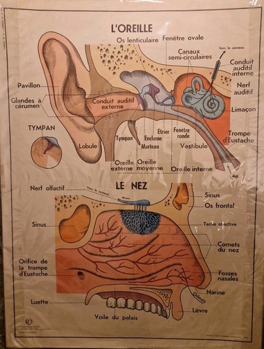 Ancienne affiche scolaire - ancienne,