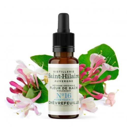 Fleur bach bio - de,