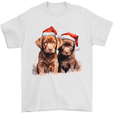 Labrador Chocolat Noël Chiots