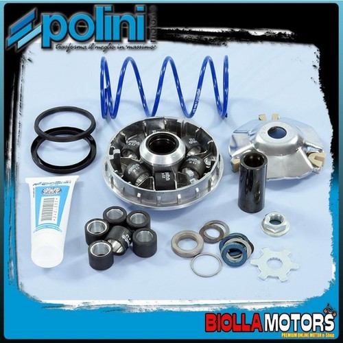 241 753 variateur polini - 241.753,