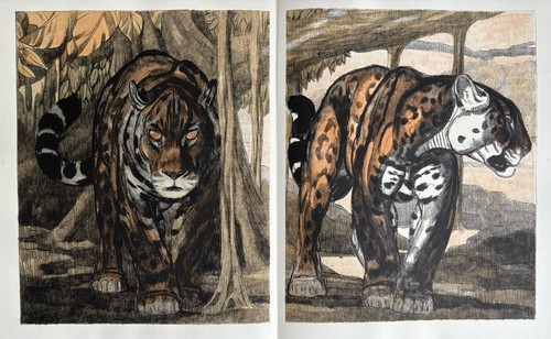 Paul jouve gravure animalière - gravure,