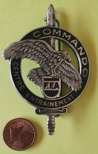 Insigne Centre Entrainement  Commando FORCES FRANçAISES EN ALLEMAGNE/DRAGO PARIS