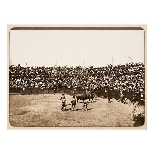 Album photo corrida - –,
