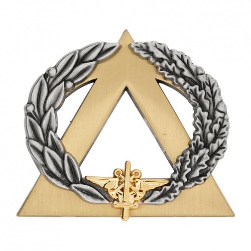 Insigne brevet instructeur - insigne,