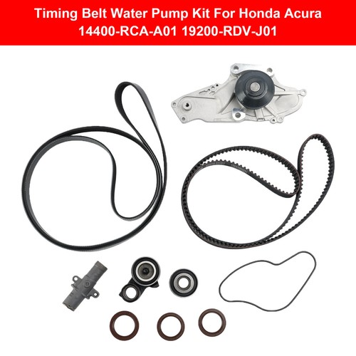 Timing belt water pump kit - belt,
