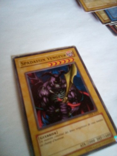 Spadassin vengeur atk 2000 def - vengeur, atk/2000