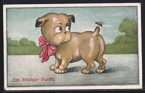 Carte postale guêpe - , atterrit