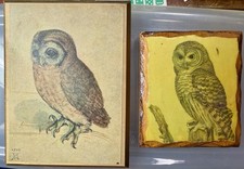 MCM wall plaques - Owls -