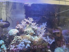 Aquarium Complet Eau De Mer