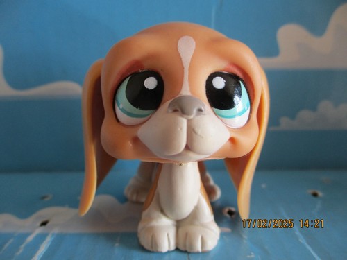 Petshop chien basset hound - chien,