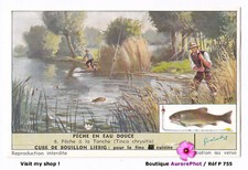LA PÊCHE EN EAU DOUCE, PÊCHE À LA TANCHE, POISSON, CHROMO LIEBIG  -P755