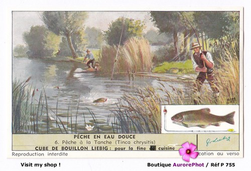 Pêche eau douce - la,