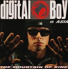 Digital Boy, The Mountain Of King - db 001 - 12'' Italy 1994 VG|VG
