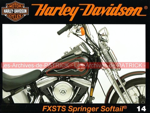 Harley davidson fxsts - harley,