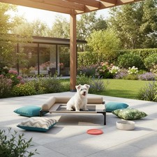 Lit Surélevé pour Chien