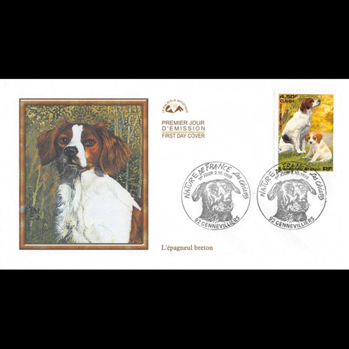 Cef les chiens - -, epagneul