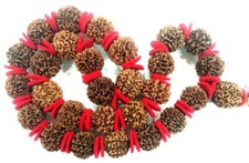 Super Collection Taille 5