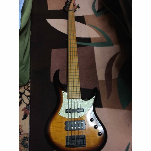 Electric bass guitar - bass,