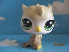 PETSHOP HIBOU / CHOUETTE