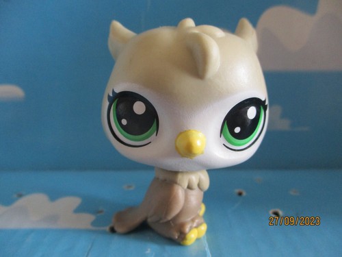 Petshop hibou chouette - /,
