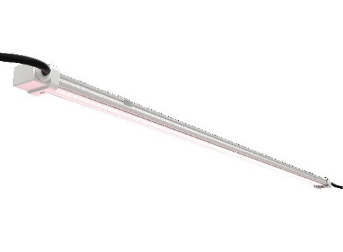 Led horticole culture indoor - culture,