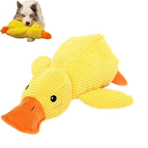 Jouet canard peluche - en, pour