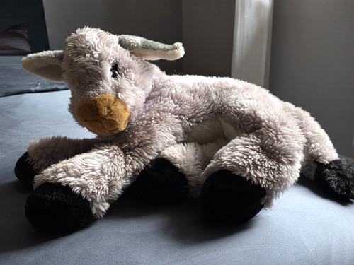âne gris peluche maxita - Âne,