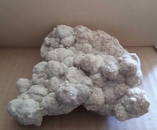 Gogotte originale  France