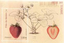 FEUILLET N° F4535 FRAISE - FETE DU TIMBRE - FRAISIER RUBIS