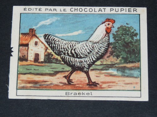 Chromo chocolat pupier - chromo, 1930