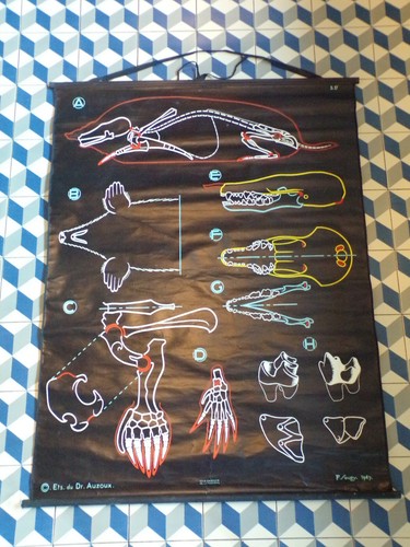 1947 affiche scolaire - 1947,