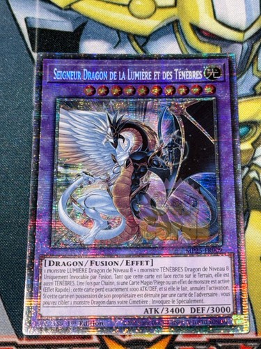 Carte seigneur dragon - carte, yu