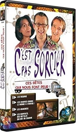 Dvd est pas sorcier - dvd,