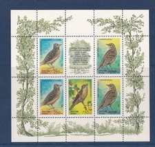 1995  Fédération de Russie  Oiseaux chanteurs   Feuillet  -N**TB-VOIR SCAN-G007