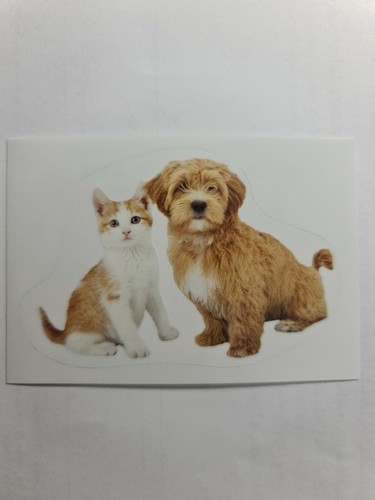 Image sticker autocollant
