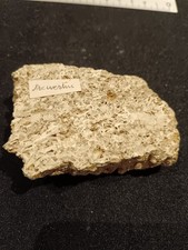 ? Travertin – Roche sédimentaire naturelle 124 g | Formation calcaire poreuse