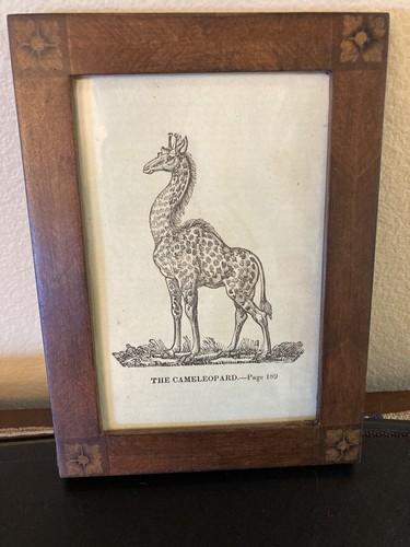 19th century engraving a - century,