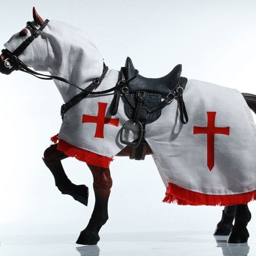 New maxbird custom - new,