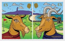 guernsey 2025 Royal Golden Goat Billy and Nanny golden skin hair 2v mnh