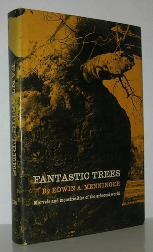 Edwin menninger fantastic - menninger,